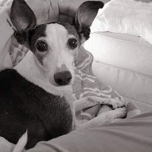 Meet your Posher, Tracy